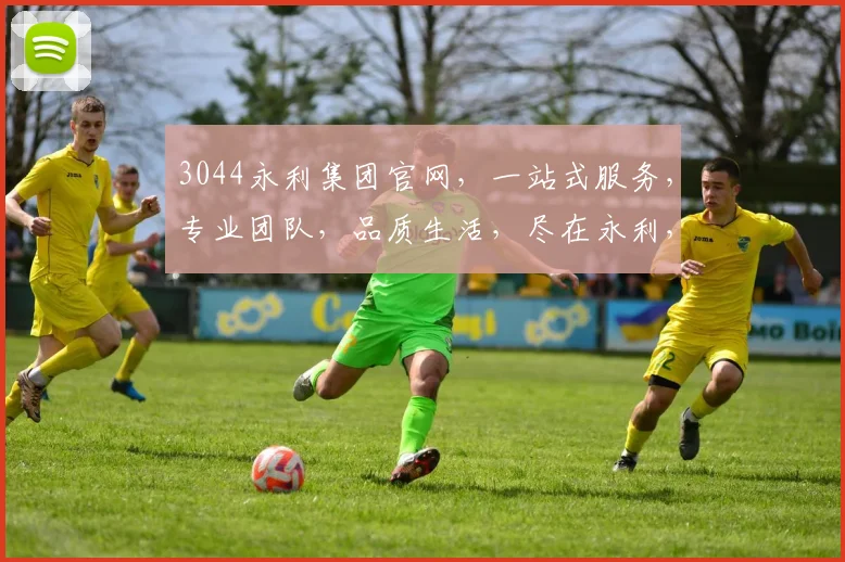 3044永利集团官网，一站式服务，专业团队，品质生活，尽在永利，体验非凡