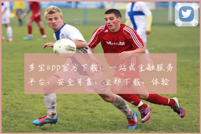 多宝app官方下载，一站式金融服务平台，安全可靠，立即下载，体验便捷金融生活，三步轻松拥有
