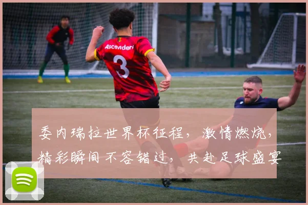 委内瑞拉世界杯征程，激情燃烧，精彩瞬间不容错过，共赴足球盛宴