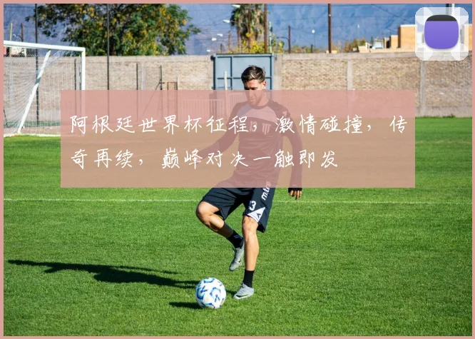 阿根廷世界杯征程，激情碰撞，传奇再续，巅峰对决一触即发